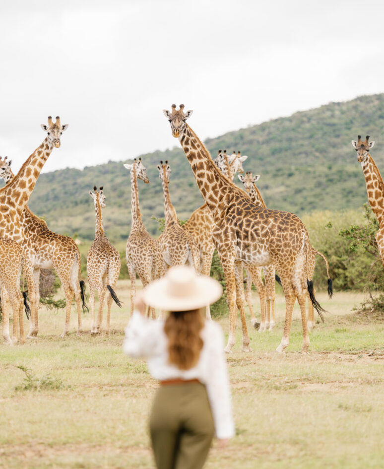 Masai Mara, Kenya