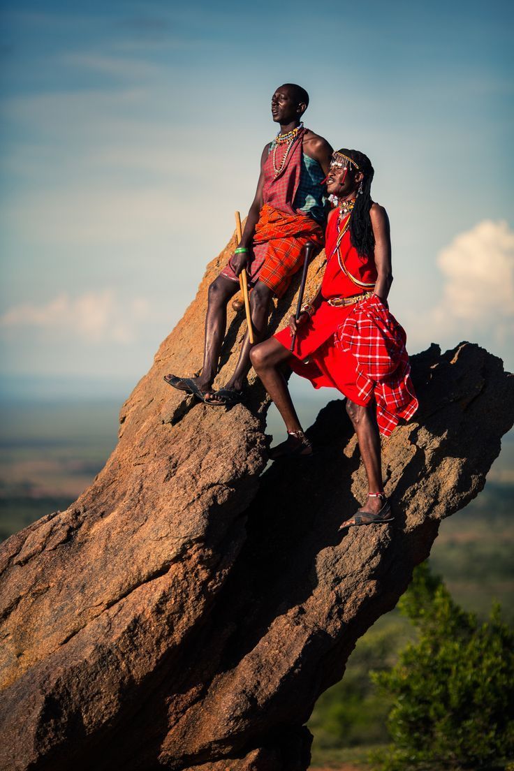 Safari Moment 6