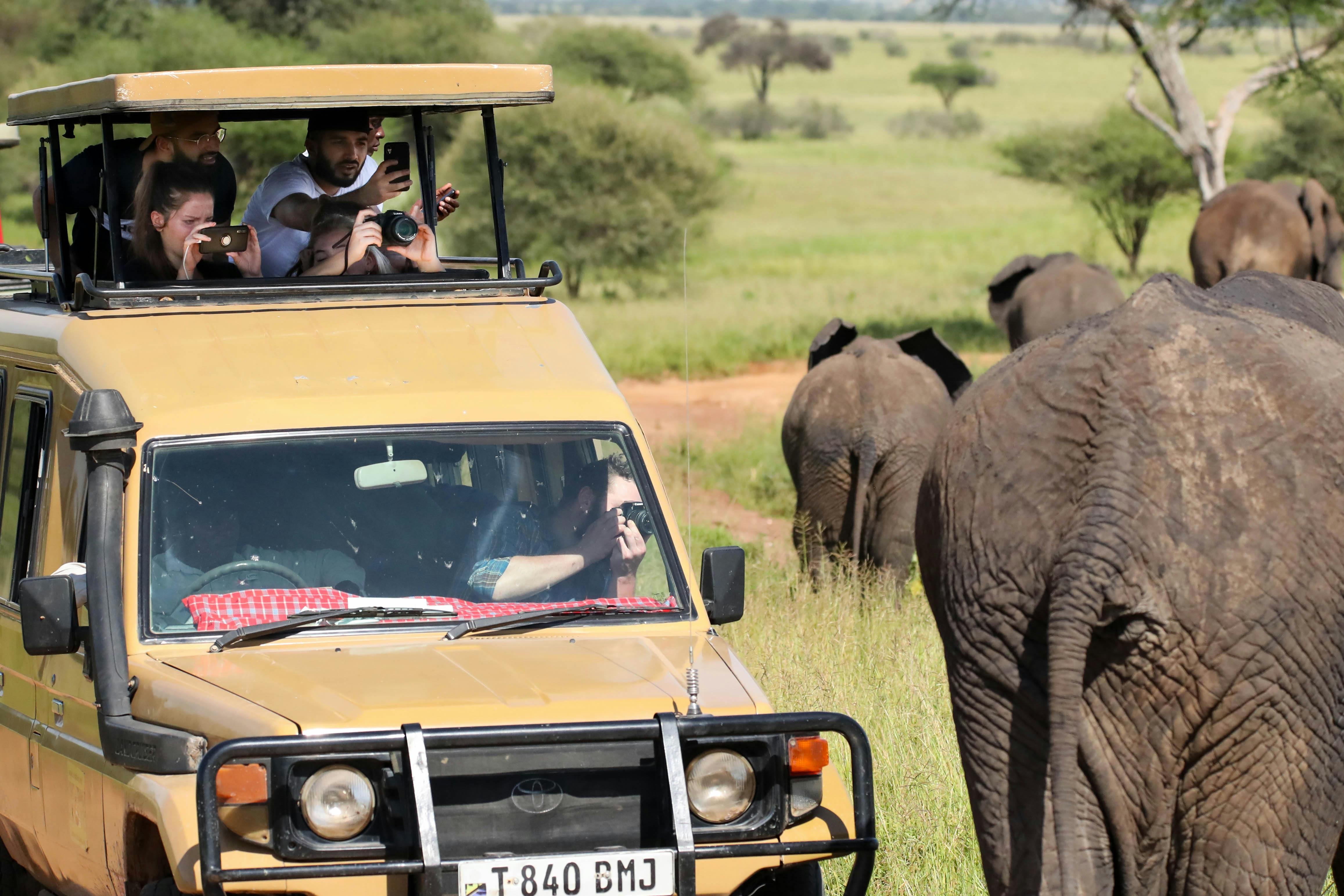 Lucky House Safaris