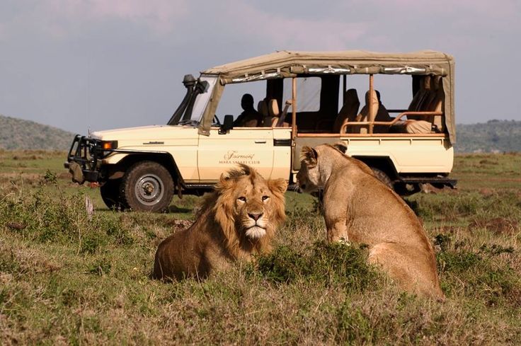 Contact Lucky House Traveling Consultants