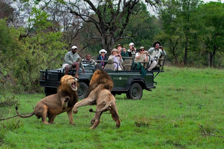 Safari Calendar